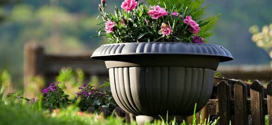Пластикові горщики для квітів на вулиці: важливі поради та догляд