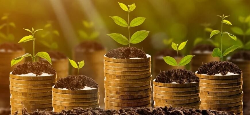 Рентна плата: визначення, принципи роботи та важливість для економіки