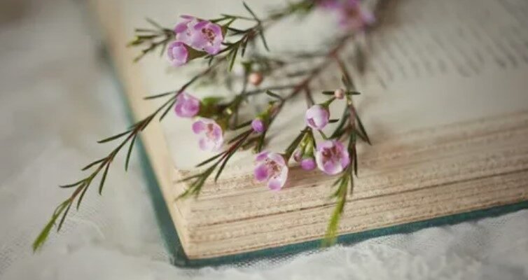 Що таке анотація до книги: приклади, поради та важливість тексту