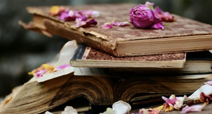 Антоніми та синоніми: Як слова надають українській мові барвистості