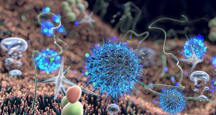 Що таке біологічна система: основні поняття та їх значення в житті