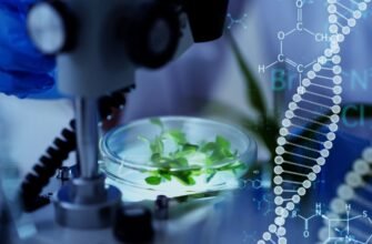 Біотехнологія: як наука об’єднує живі організми і передові технології