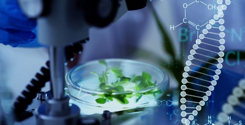 Біотехнологія: як наука об’єднує живі організми і передові технології