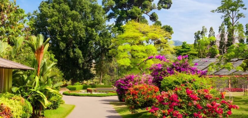 Ботанічний сад: від живого музею природи до джерела натхнення