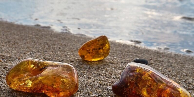 Бурштинова кислота: Властивості, роль у природі та використання