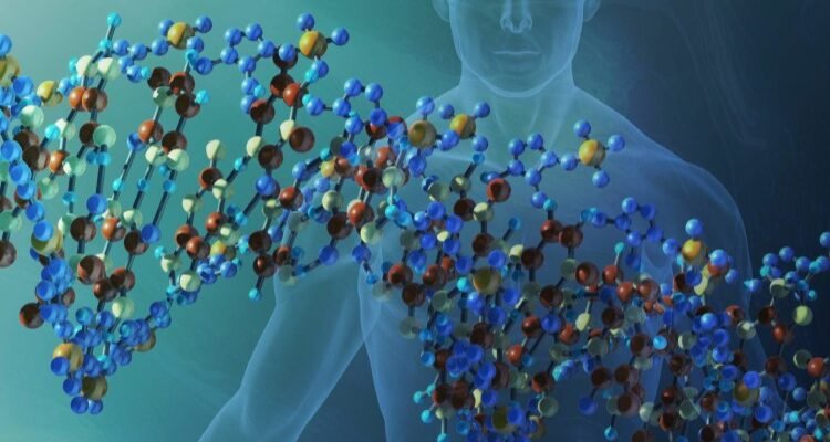 Генотип: основи, значення та вплив на здоров’я і розвиток людей