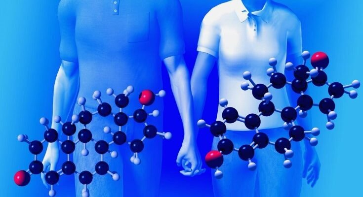 Гормони: Як Невидимі Диригенти Керують Нашим Життям Щодня