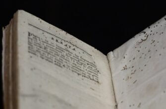 Що таке книжкові воші: розпізнавання, небезпека і способи боротьби