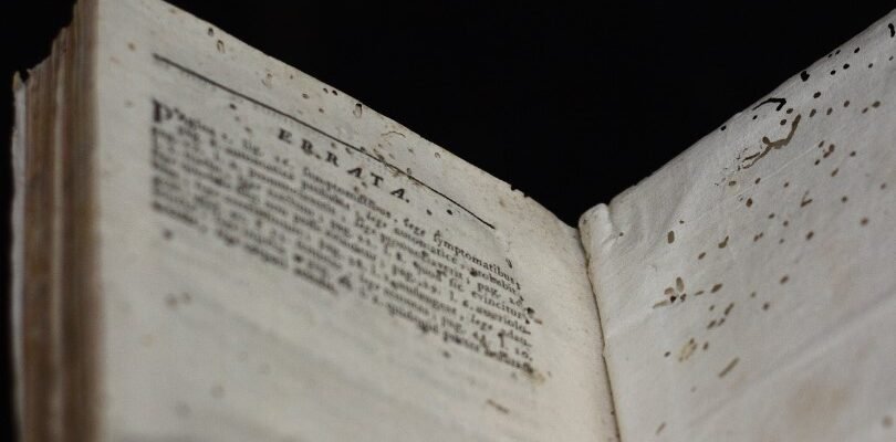 Що таке книжкові воші: розпізнавання, небезпека і способи боротьби