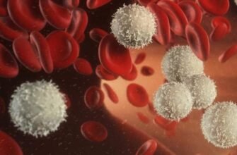 Лейкоцити: Невидимі Захисники Імунної Системи Людини – Що Це?