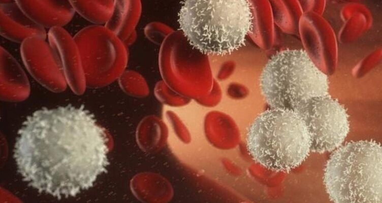 Лейкоцити: Невидимі Захисники Імунної Системи Людини – Що Це? Лейкоцити: Невидимі Захисники Імунної Системи Людини – Що Це?