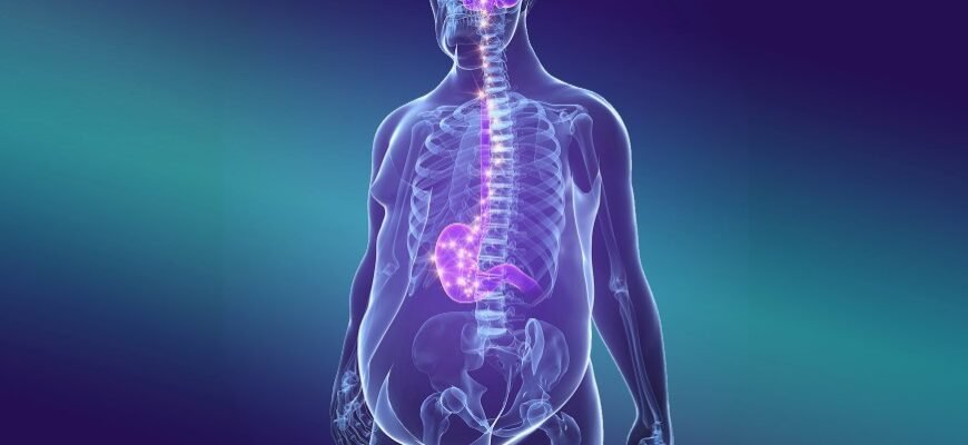 Лептин: що це таке, де виробляється та за що відповідає в організмі