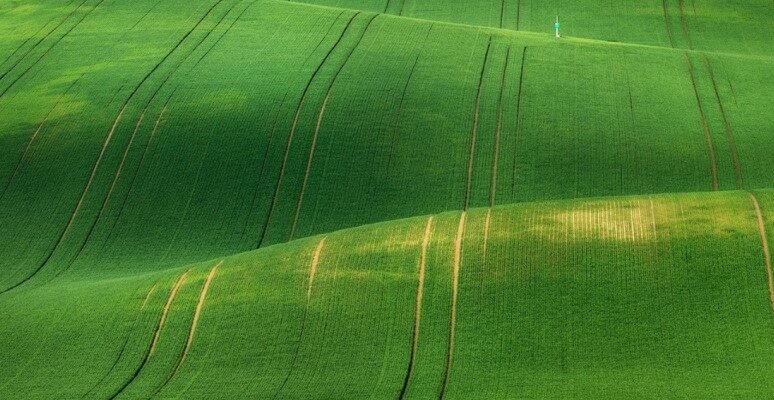 Луки: Визначення, значення та роль у природних екосистемах Луки: Визначення, значення та роль у природних екосистемах