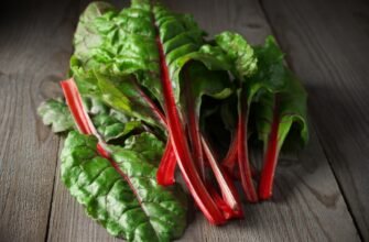 Що таке мангольд: користь, особливості вирощування та вживання