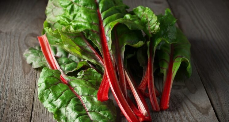 Що таке мангольд: користь, особливості вирощування та вживання