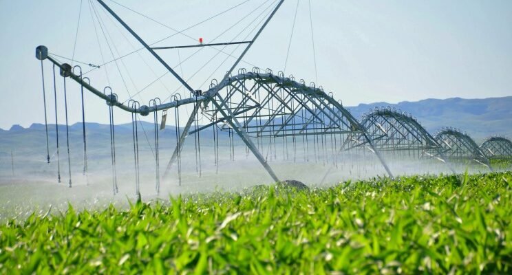 Меліорація: визначення, значення та її вплив на агросектор України