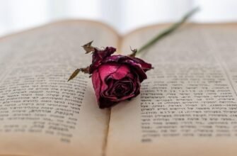 Відкрийте світ метафор: визначення, приклади та застосування у мовленні