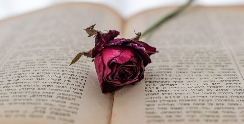 Відкрийте світ метафор: визначення, приклади та застосування у мовленні