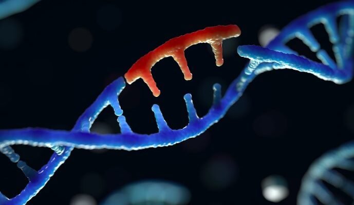 Що таке мутації: розкриття механізмів еволюційних змін життя