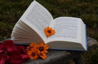 Що таке нарис: визначення, особливості та приклади для початківців