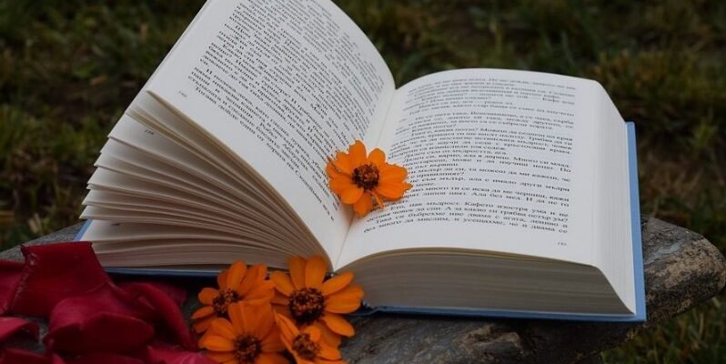 Що таке нарис: визначення, особливості та приклади для початківців