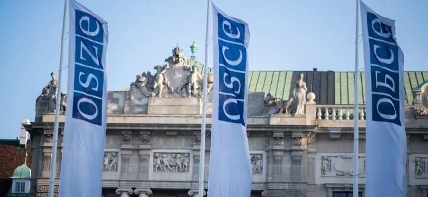 Роль та функції ОБСЄ у сучасному світі: все, що потрібно знати