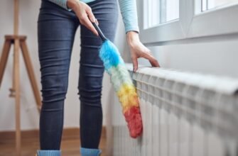 Піпідастр: історія, походження та цікаві факти для любителів знань