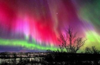 Полярне сяйво: що це таке, як виникає та дивовижні факти про явище