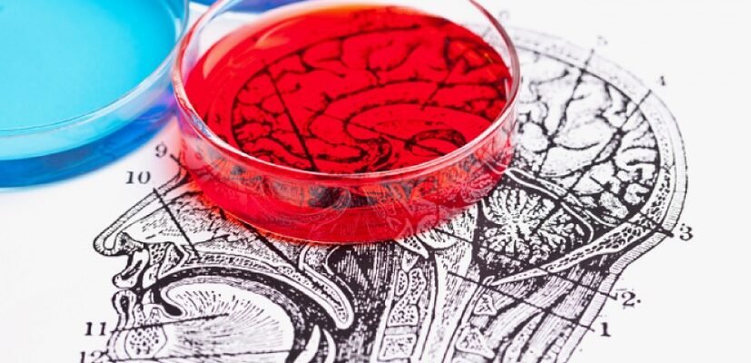 Рецидив у медицині: причини, особливості та методи профілактики