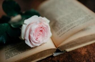 Глибоке розуміння тези в творі: основа успішного письма для всіх