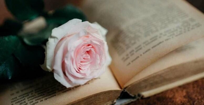 Глибоке розуміння тези в творі: основа успішного письма для всіх