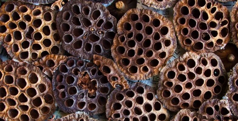 Визначення та розуміння трипофобії: симптоми та поради для контролю