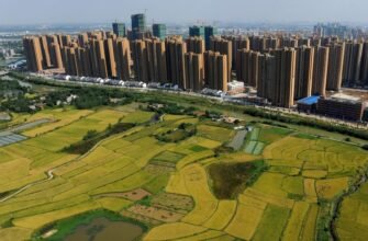 Урбанізація: перетворення села на мегаполіс та виклики сучасності