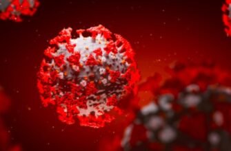 Антитіла в крові: роль, функції та значення для здоров’я людини