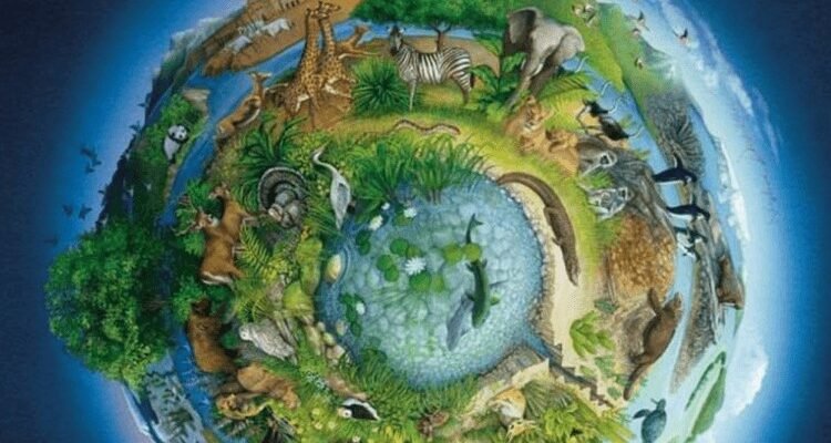 Оптимізація роботи з Adobe Illustrator: Поради та прийоми