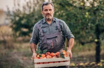 Значення та особливості терміна брутто: що варто знати для бізнесу