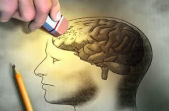 Загадка деградації: Визначення, чинники та наслідки процесу