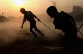 Ефективна експлуатація: визначення, приклади та правовий аспект ситуації