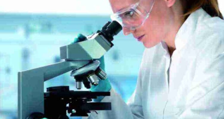 Емпіричне дослідження: визначення, методи та практичні приклади