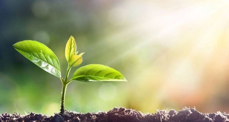 Генеза: що це таке та як розуміння процесу впливає на розвиток?