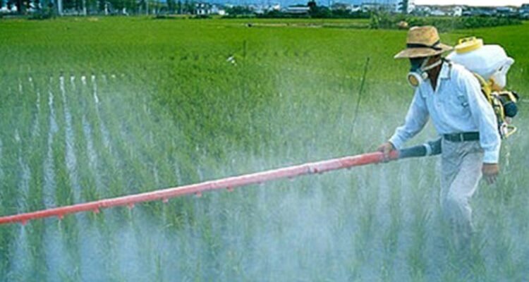 Інсектициди: Види, використання та ефективність у захисті рослин