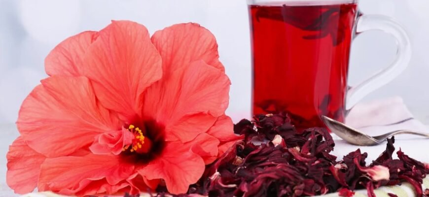 Каркаде: Користь, Властивості та Рекомендації щодо Вживання Напою