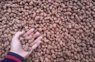 Керамзит: Що це таке та як використовувати для будівництва й садівництва?