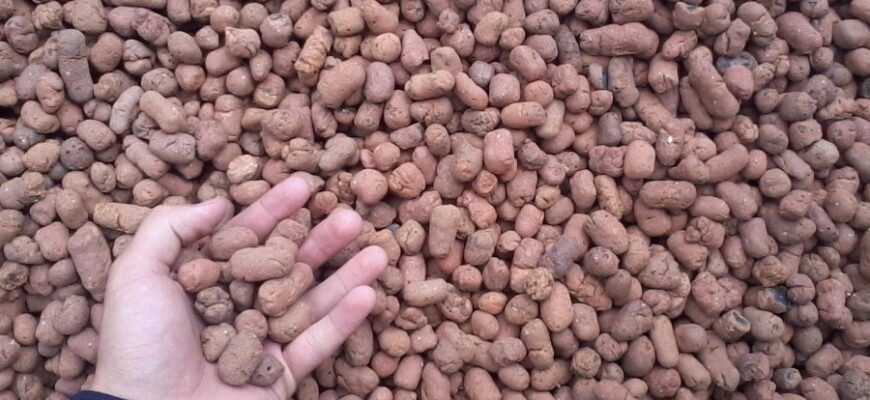 Керамзит: Що це таке та як використовувати для будівництва й садівництва?