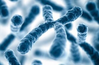 Що таке хромосоми: Від генетичних кодів до спадковості людства