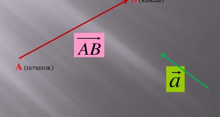 Що таке колінеарні вектори: визначення, властивості та приклади
