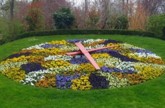 Квітковий годинник: історія, принцип дії та сучасні застосування