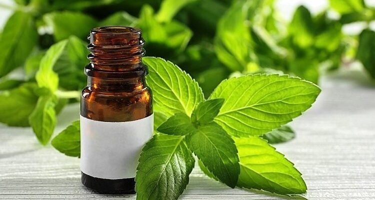 Ментол: що це таке, властивості, застосування та вплив на здоров’я