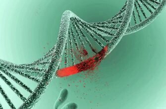 Мутація: Визначення, основні види та вплив на живі організми