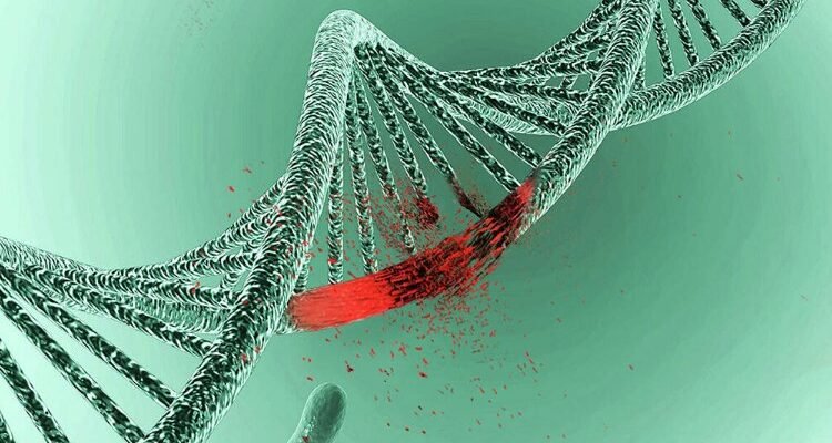 Мутація: Визначення, основні види та вплив на живі організми